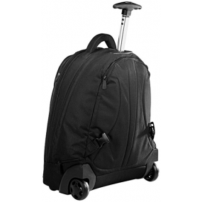Laptop rolling backpack_____